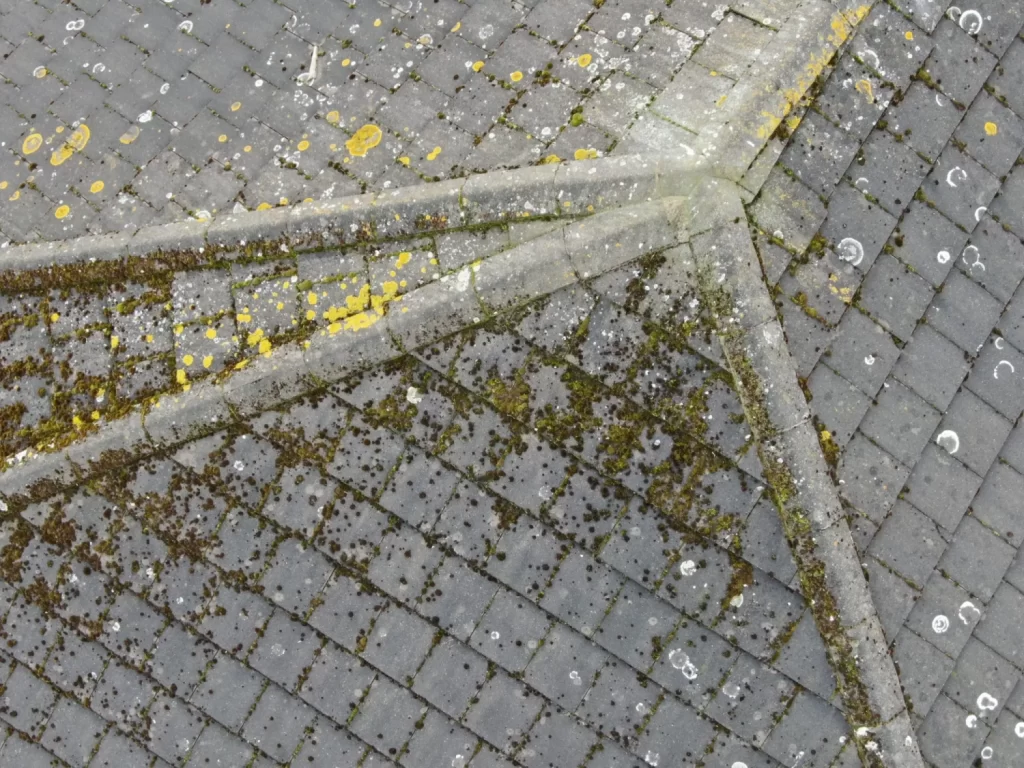 Aerial Overview Of Tiled Roof