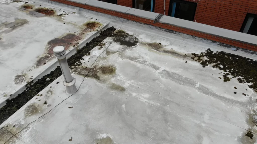 Flat Roof Survey