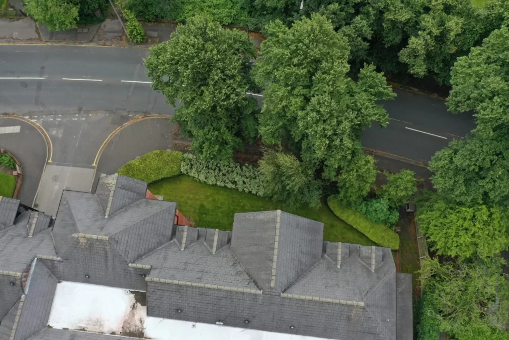 Tree Ground Hazard For Drone Survey
