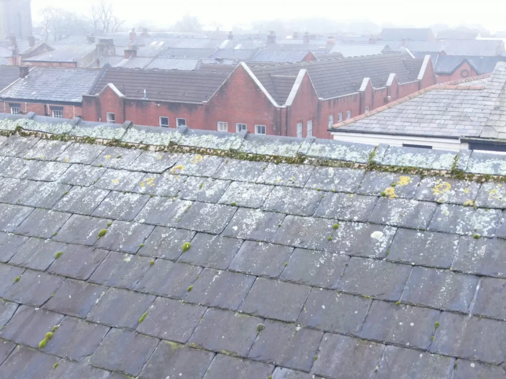 Domestic roof surveys using drones