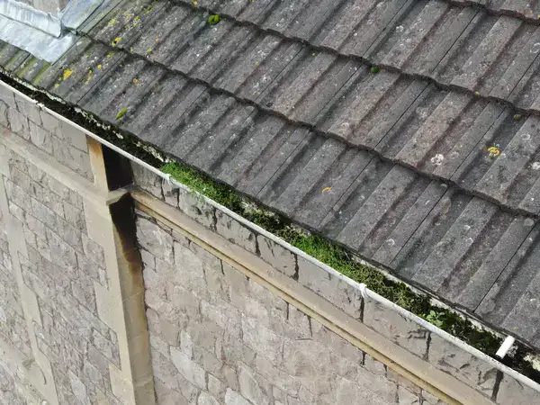 Gutter Condition Report